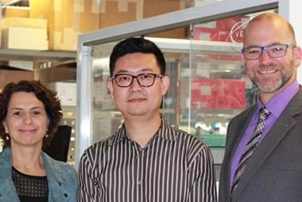 2017 Scholarship for the Next Generation