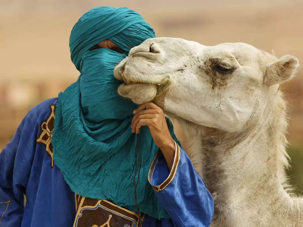 Log Book – <strong>Sahara – 2019</strong>