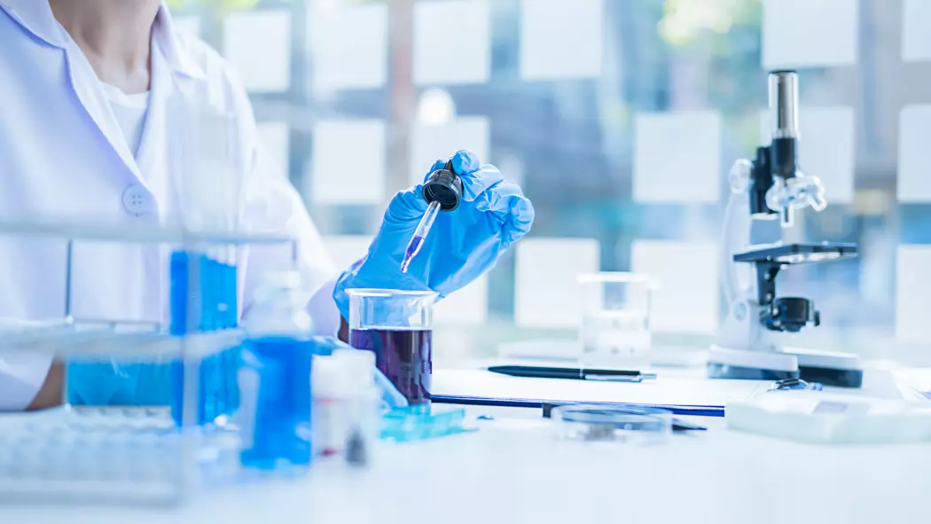 Canadian researchers at the heart of <strong>international projects</strong>